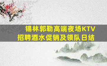 锡林郭勒高端夜场KTV招聘酒水促销及领队日结